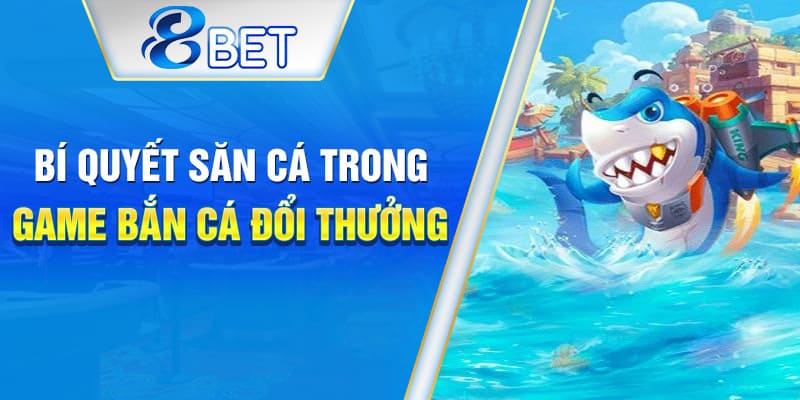 Cách săn cá siêu chuẩn cho người mới tham gia