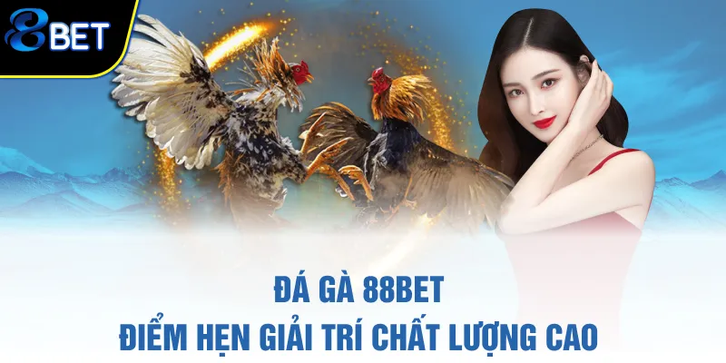 Đá gà 88BET - Điểm hẹn giải trí chất lượng cao